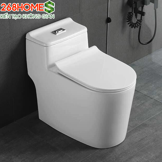 Bồn cầu 1 khối Gold-07