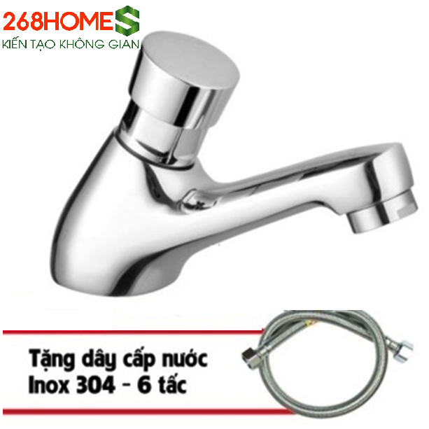 Sen vòi 6 tấc VL-01