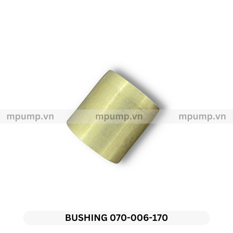 Ống lót 070-006-170