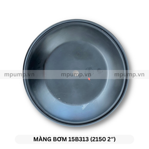 Màng bơm Husky 15B313