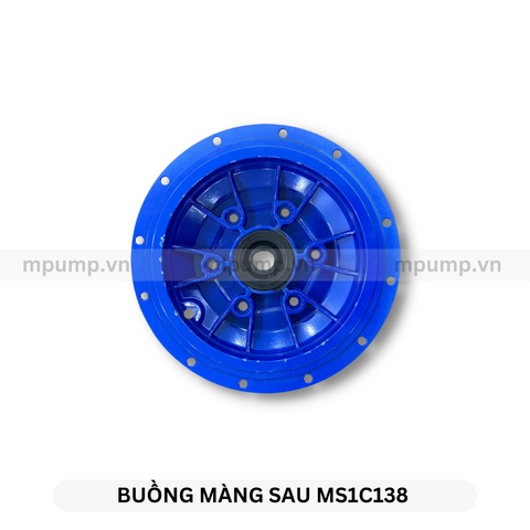 Buồng màng sau bơm SEKO MS1C138