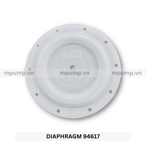 Màng bơm 94617 Teflon