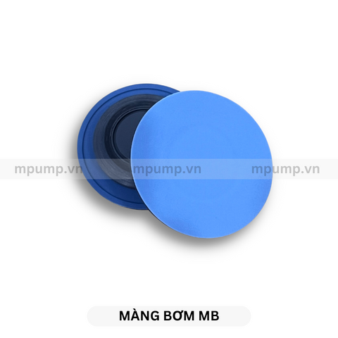 Màng bơm định lượng OBL MB