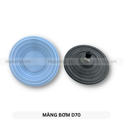 Màng bơm Doseuro D100N-70, D101N-70 Teflon