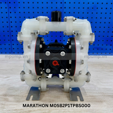 Máy bơm màng Marathon M05B2P1TPBS000