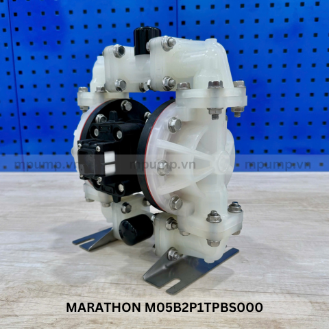 Máy bơm màng Marathon M05B2P1TPBS000