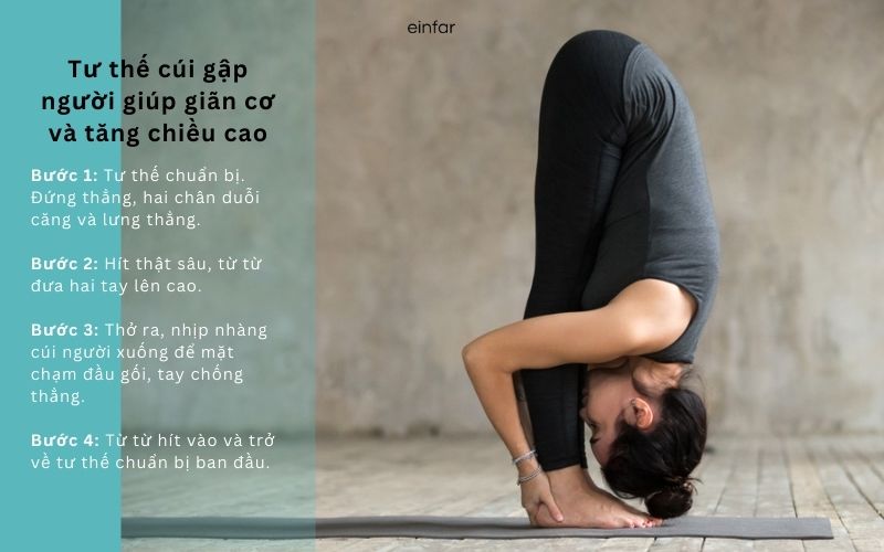 5 bài tập Yoga tăng chiều cao tại nhà đơn giản cho người mới