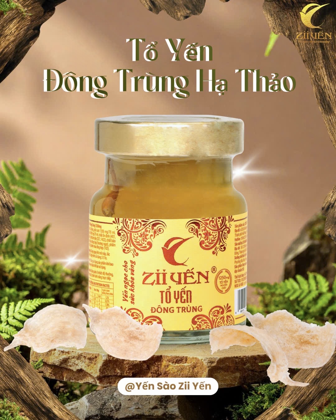 Yến Chưng Đông Trùng Hạ Thảo 1250mg Tổ Yến