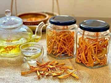 Đông Trùng Hạ Thảo Takichi