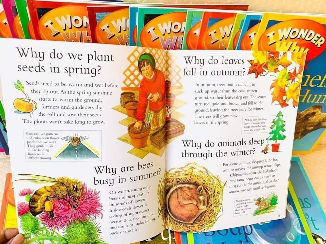 (Sách nhập khẩu) I WONDER WHY 24 CUỐN