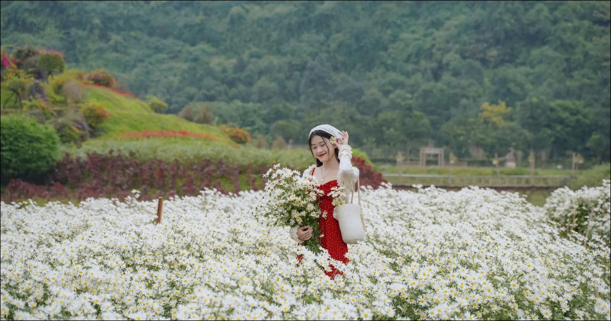 Thung Nham Ninh Bình – Vẻ Đẹp Hoang Sơ Giữa Miền Di Sản