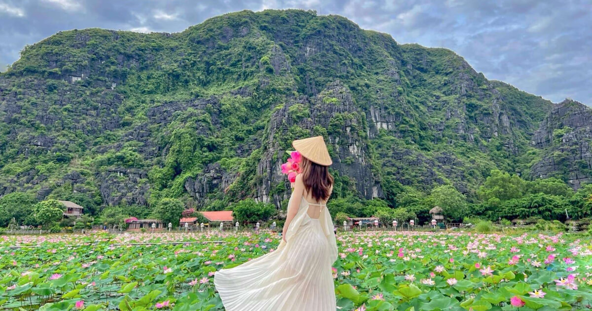 Vì Sao Ninh Bình Tháng 11 Mùa Sen Nở Khiến Ai Cũng Muốn Quay Lại?