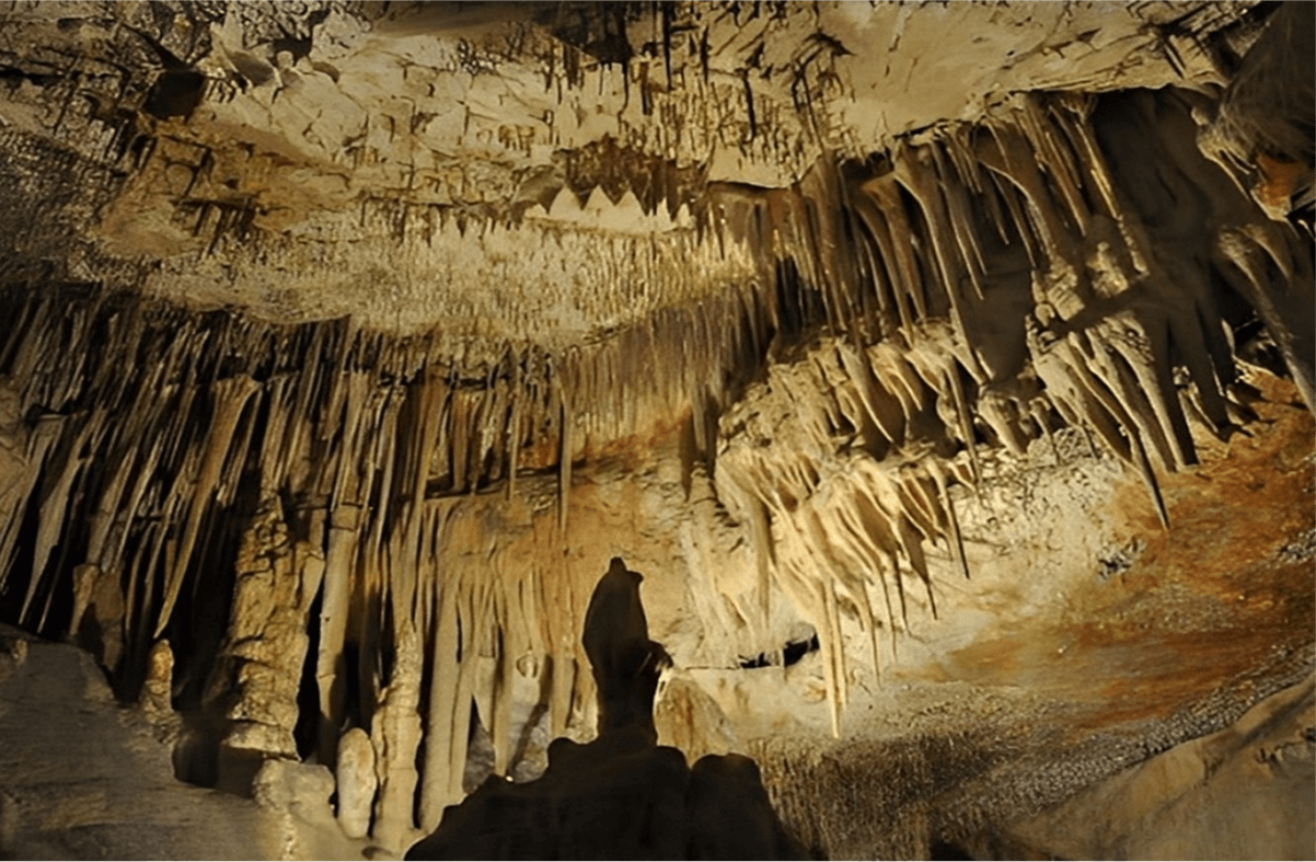 Đôi Nét Về Động Phúc Long