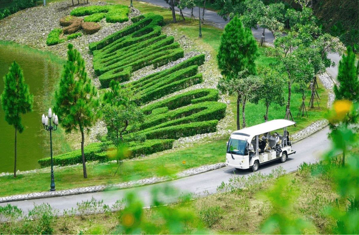 Đồi thông Hồ Đồng Chương