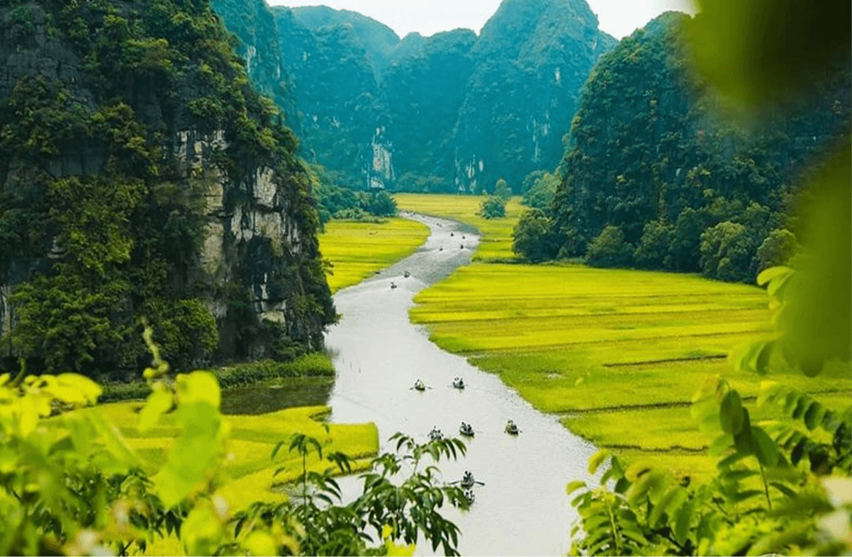 Chìm vào giấc ngủ giữa thiên nhiên tại Homestay 