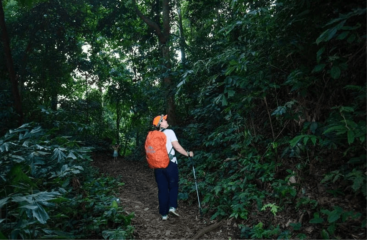 Đi Bộ, Trekking Giữa Rừng Nguyên Sinh Cúc Phương