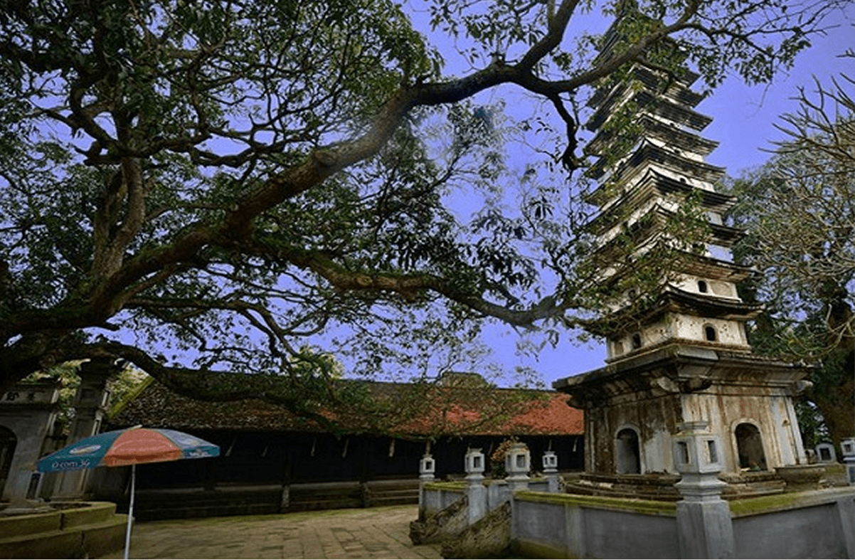 Giới thiệu Tháp Phổ Minh