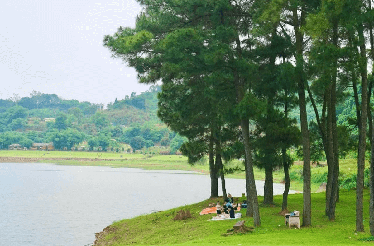 Hồ Đồng Chương