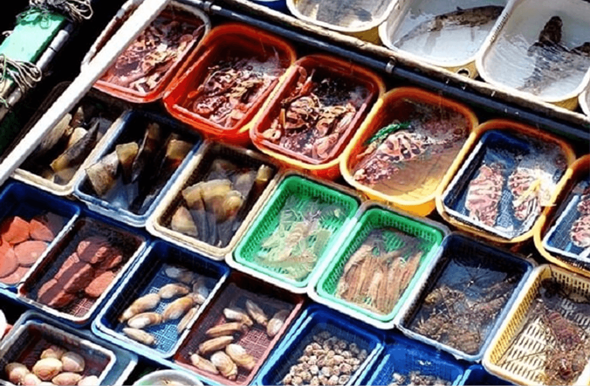 Khám Phá Chợ Hải Sản Truyền Thống Tại Biển Quất Lâm