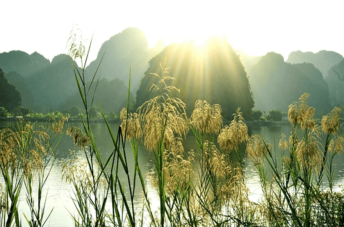 Tam Cốc – Bích Động