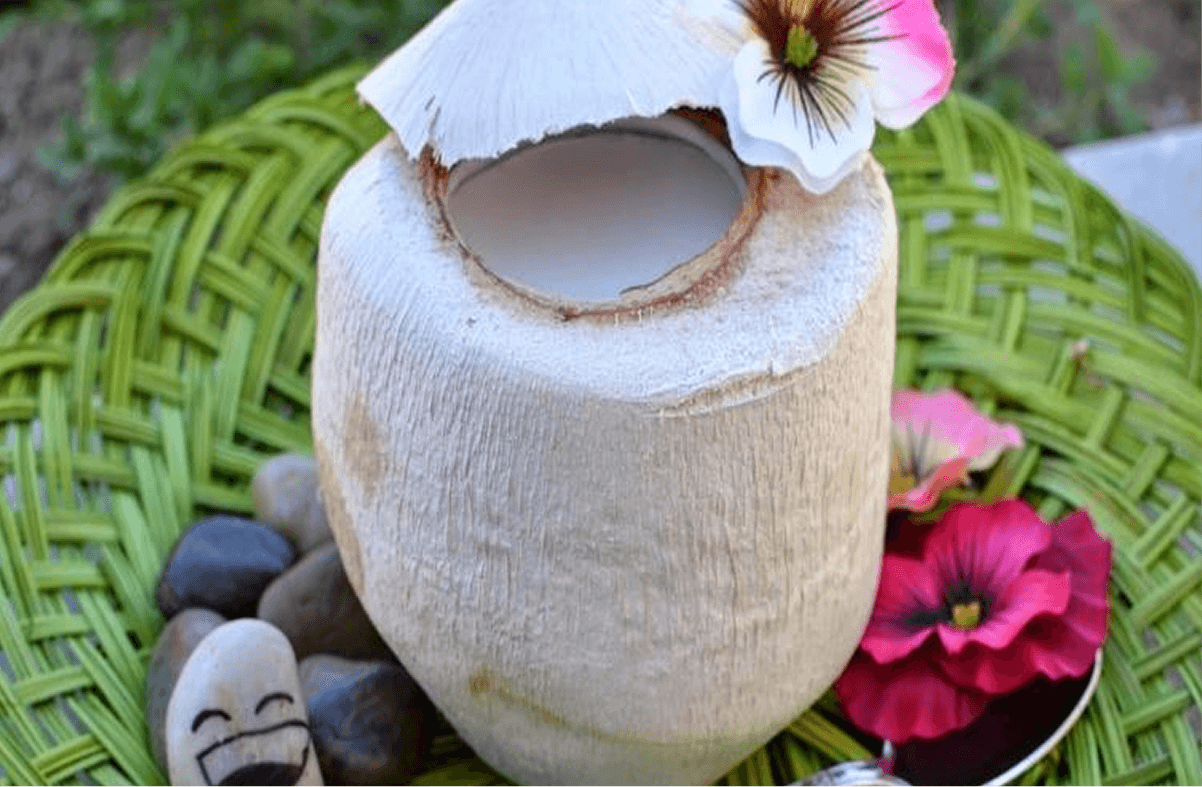 Thạch dừa Nguyễn Công Trứ