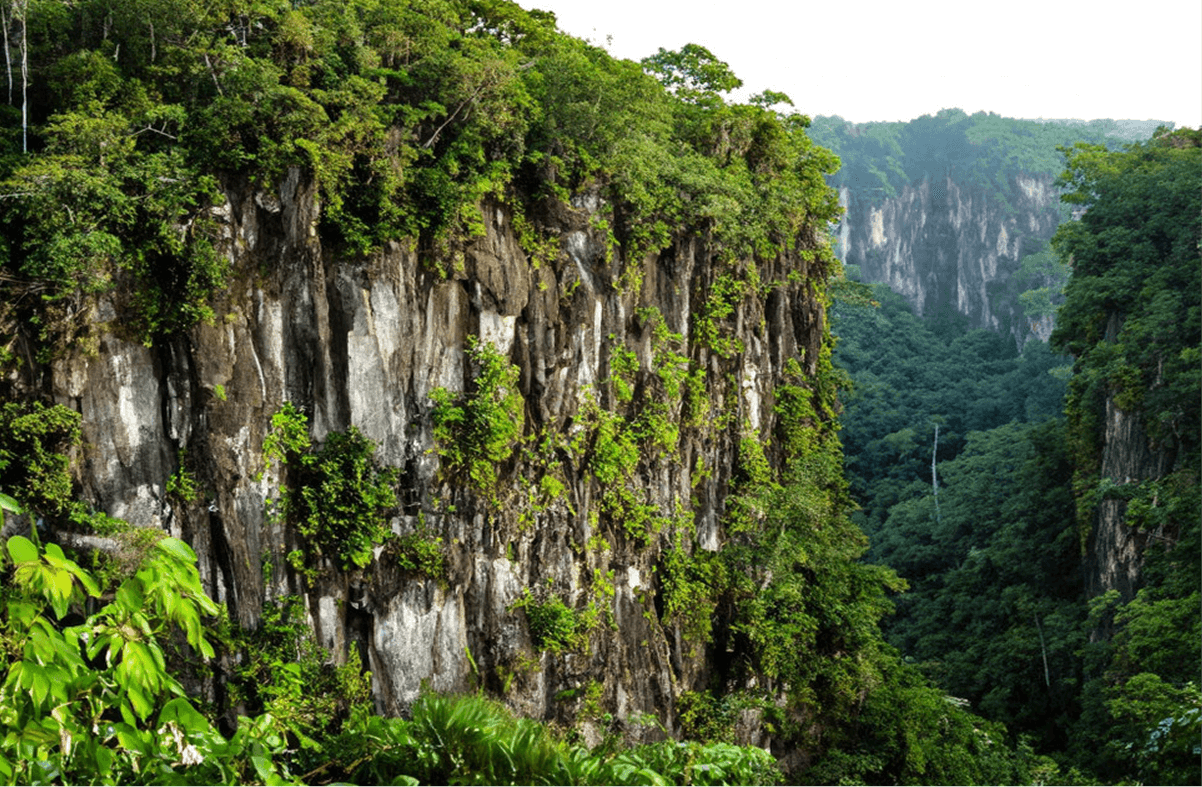 Tổng Quan Vườn Quốc gia Cúc Phương