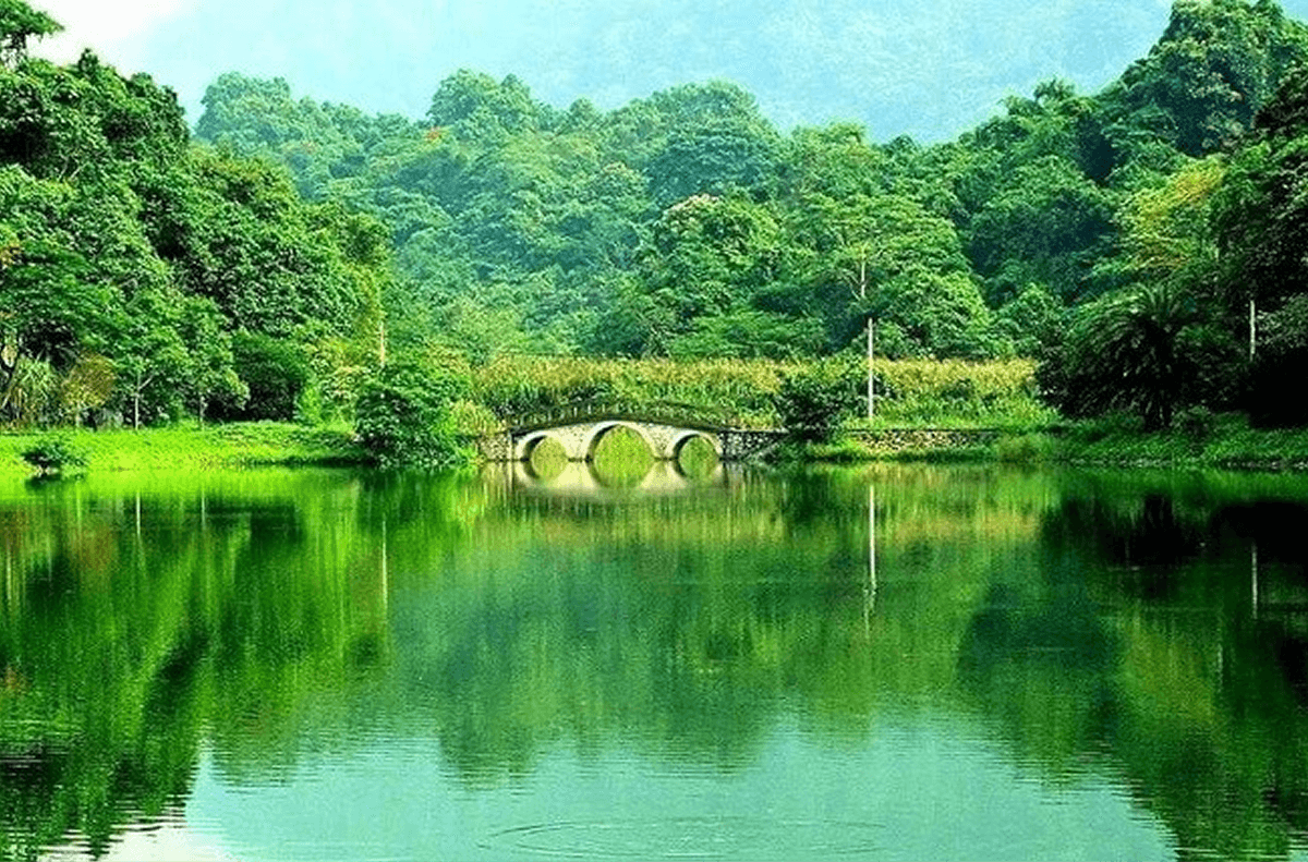 Tổng Quan Vườn Quốc Gia Cúc Phương