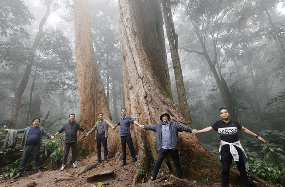 Trekking cung 5 cây chò chỉ 