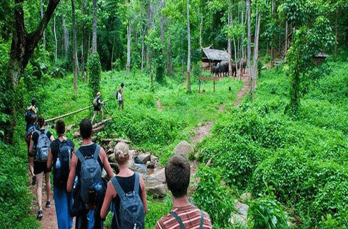 Trekking cung 5 cây chò chỉ 