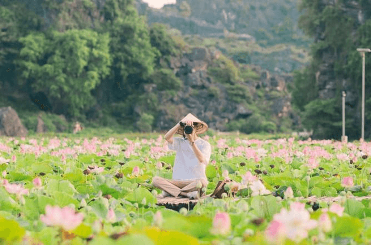 Vẻ Đẹp Ninh Bình Tháng 11 Mùa Sen Nở Lần 2 Đẹp Mê Mẩn Như Tranh Thủy Mặc