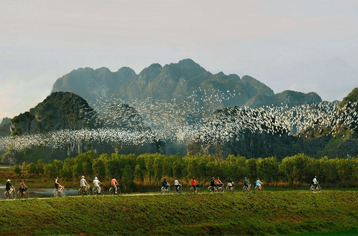 Vườn chim Thung Nham