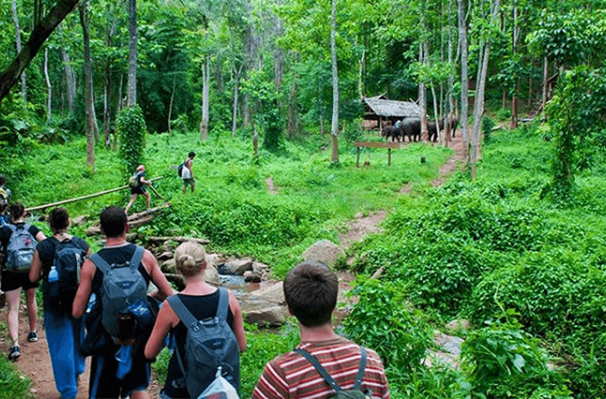 Vườn Quốc Gia Cúc Phương