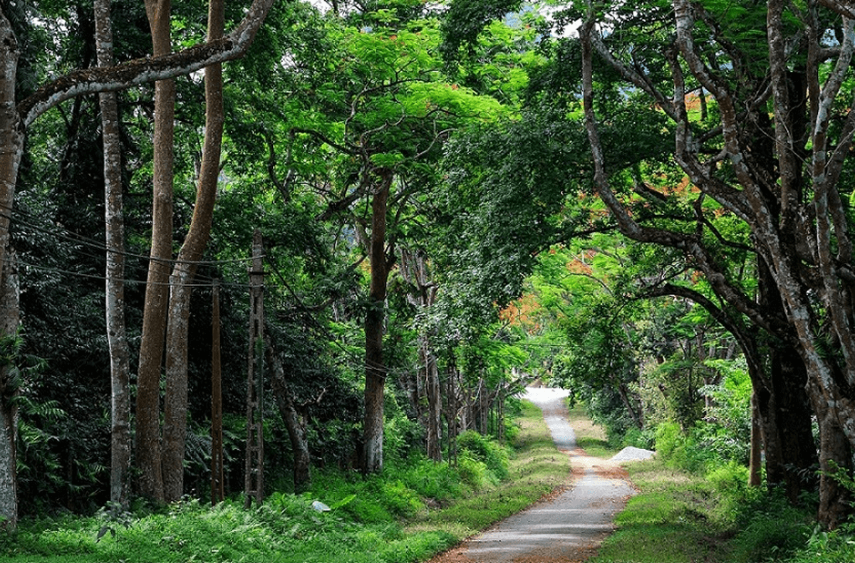 Vườn Quốc Gia Cúc Phương