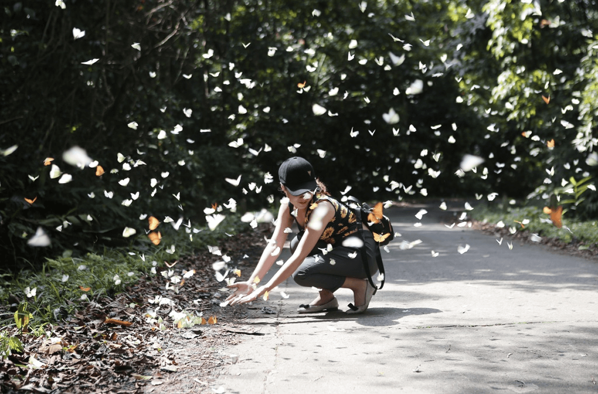 Vườn quốc gia Cúc Phương