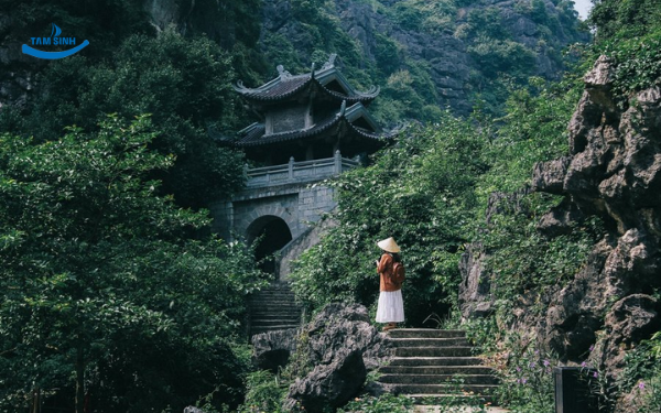 Tuyệt Tịnh Cốc - Tam Cốc - Hang Múa | Tour Ninh Bình 1 ngày