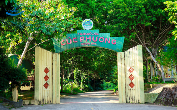 Vườn Quốc gia Cúc Phương | Tour Ninh Bình 1 ngày