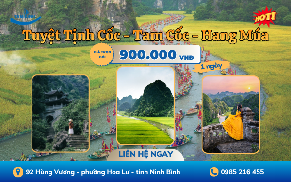 Tuyệt Tịnh Cốc - Tam Cốc - Hang Múa | Tour Ninh Bình 1 ngày