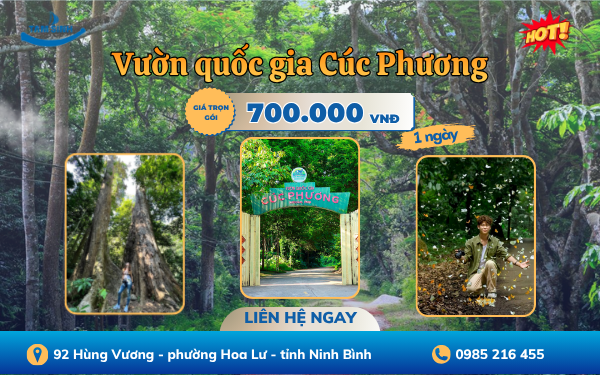 Vườn Quốc gia Cúc Phương | Tour Ninh Bình 1 ngày