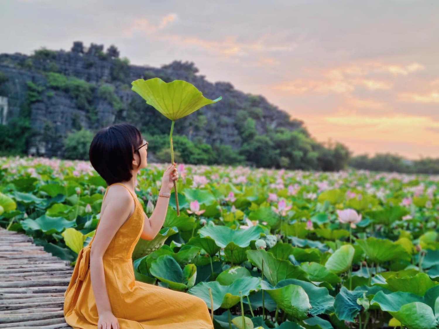 Khu du lịch Hang Múa