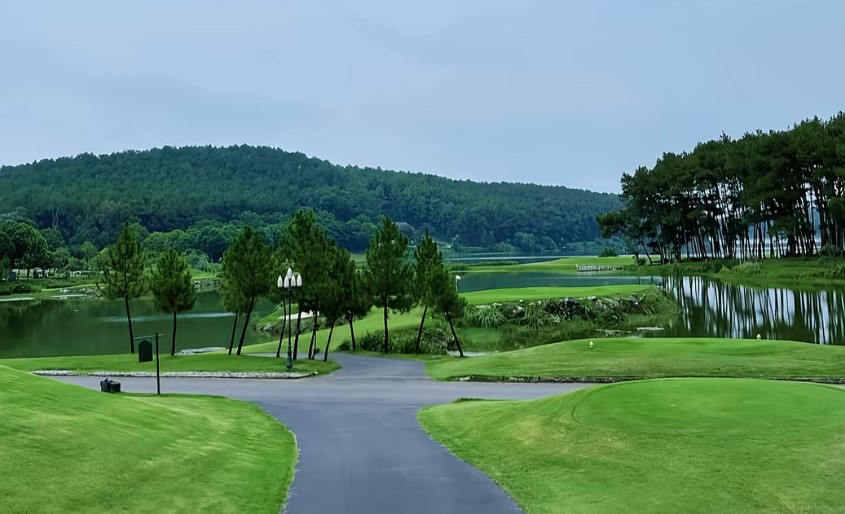 Đồi Thông Hồ Đồng Chương