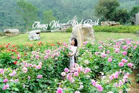 Khu Du Lịch Sinh Thái Thung Nham