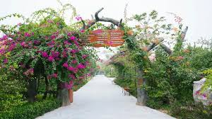 Memorina Ninh Binh Resort