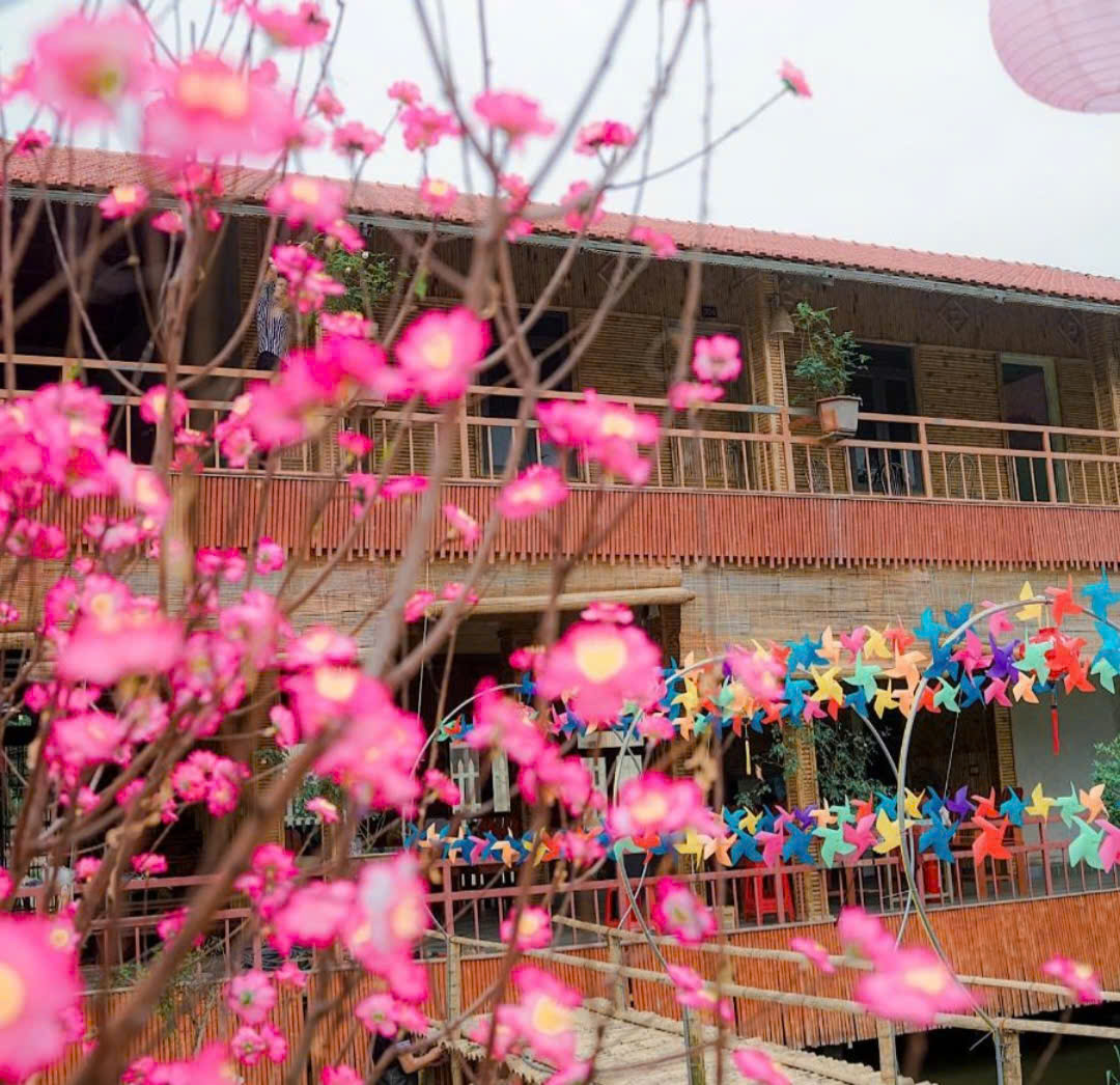 Tràng An Homestay & Restaurant