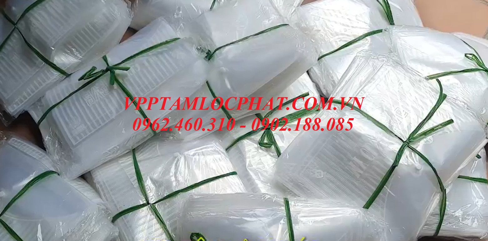 Túi Clearbag khổ A trung TL02 ( Túi myclear, túi khuy, bìa nút)