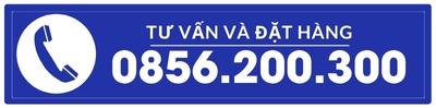 0856200300
