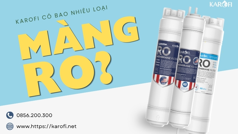 Các loại màng RO Karofi
