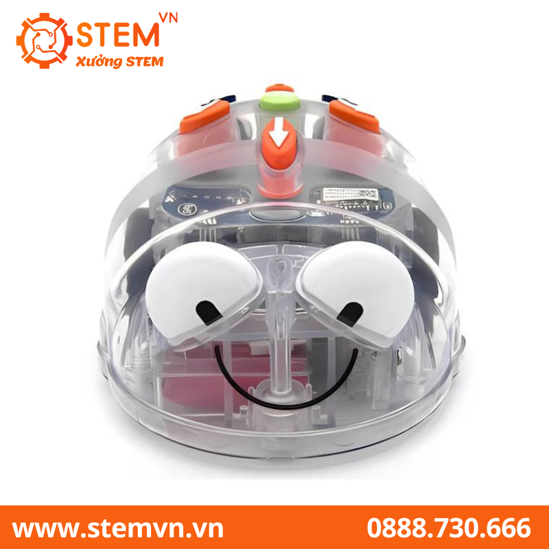 Blue-Bot Robot giáo dục cho lứa tuổi mầm non - Blue-Bot Bluetooth Floor Robot