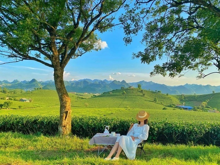 Toạ độ check-in sống ảo đẹp mê mẩn tại Mộc Châu cho những tín đồ du lịch