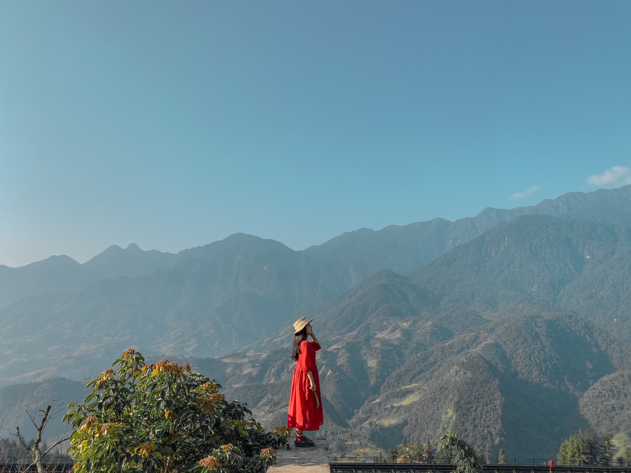 COMBO LÁ ĐỎ HOMESTAY