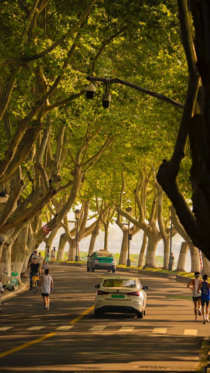 HÀ NỘI – HÀNG CHÂU – Ô TRẤN – THƯỢNG HẢI – OPTION DISNEYLAND 6N5D - NOSHOP